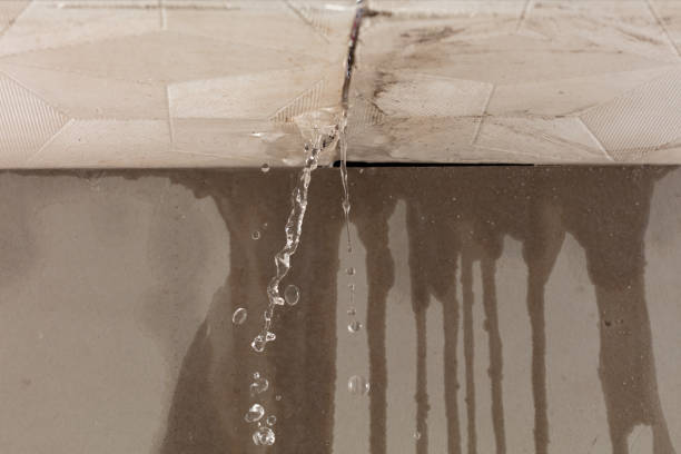 Professional Sewage Cleanup technician working in La Center, WA